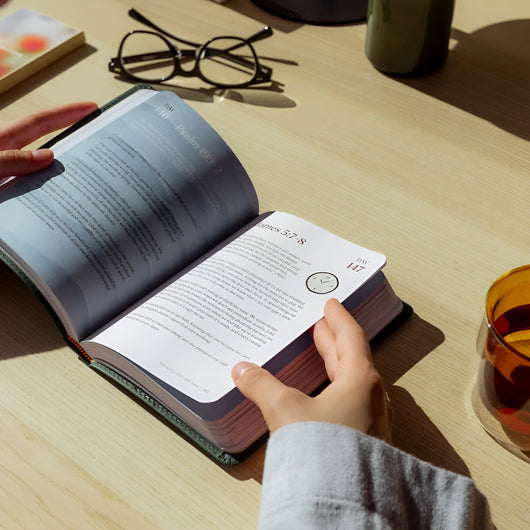 A Beautiful Year with Jesus: The 365 Day Bible Devotional