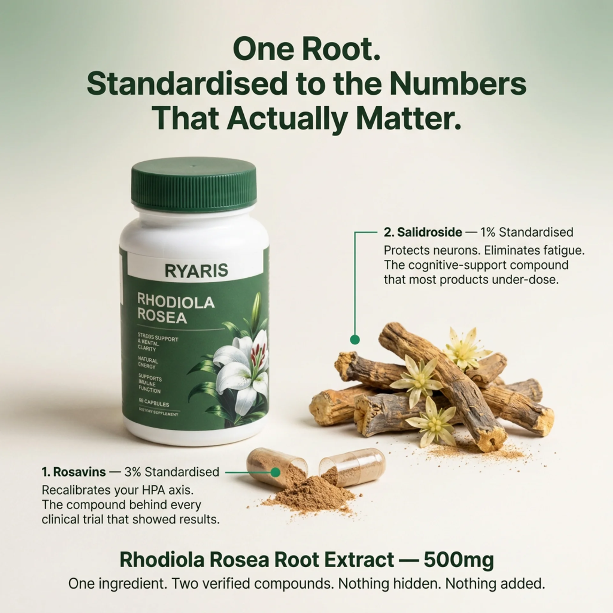 Rhodiola Rosea