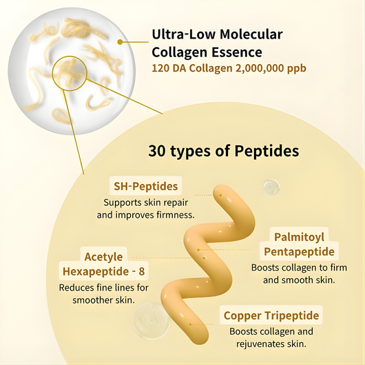 Ryaris Deep Collagen Silk Peptide Ampoule